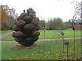 Pine cone and seeds at Hillier Gardens in SO51 0DG