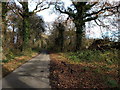 Lane passing Thicket Copse, heading for Grove Farm in SN8 2FJ
