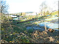 Allotments, Pontyclun in CF72 9UB