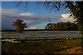 Crops under cloches, at the Park Farm turnoff in Friston