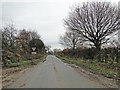 Holly Hill just before joining the B1110 in NR20 5AX