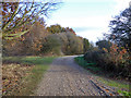 Track, Layer Breton Heath in Layer Breton