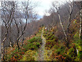 Hill path to Kyle of Lochalsh in IV40 8AJ