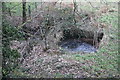 Overgrown footbridge, Nant Ffrwd-oer, Plas-y-coed in NP4 6TR