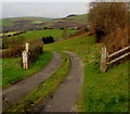 Access road to Bryn Mawr Farm, Bettws in CF32 8SW