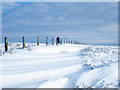 Drifted snow at summit of Collier Law in DL13 2YX