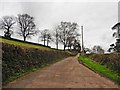 Road to Reads Hill Farm in EX13 7LB