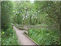Boardwalks in NR12 8BL