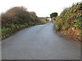 Hedge enclosed lane heading towards Talcen-eiddew in LL68 0NY