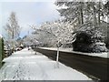 Marlbrook Old Birmingham Road First Snow of Winter in B60 1NR