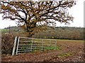 Farmland in the Axe Valley in EX13 7AJ