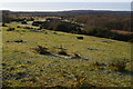 View into valley on West Wellow Common in SO51 6DD