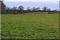 Fields near Leylands Farm in SO50 7HG