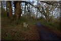 A bench on the cycle route, north of Chiseldon in SN4 0NN