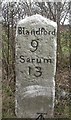 Old Milestone by the A354, south of Sixpenny Handley in SP5 5RX