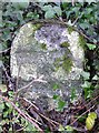 Old Milestone by the B3162 in TA20 4JQ