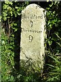Old Milestone by the A354, north east of Milborne St Andrew in DT11 0JA