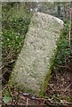 Old Milestone by Huntick Road, east of Lytchett Matravers in BH16 6GD