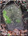 Old Milestone (Parole stone), north west of Rewdown Cross in TQ13 7HR