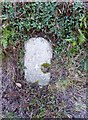Old Milestone east of Loxhore Cross in EX31 4TE