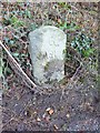 Old Milestone east of Bratton Cross in EX31 4TF