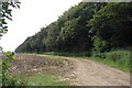 Copse & Trackway east of Dersingham in PE31 6LS