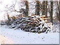 Woodpile at Hornton Grounds Farm in OX15 6DA