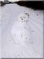 Snowman with attitude in OX15 6DA
