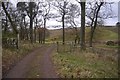 Road to Upper Warroch in KY13 0NU