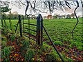 Gate to Lethen Dovecot in IV12 5PR