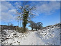 Old Hampton Lane in the snow in WV10 8QR
