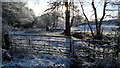 Snowy scene at infant R Wheelock Stannershouse Ln (track) near Malkin's Bank in CW11 2TQ