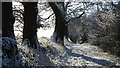 Snowy track leading S to Dean Hill near Hassall Green in CW11 4SX