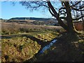Burn flowing beside Barr Wood in G82 3DF