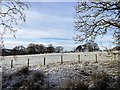 Grazing field under snow in DH7 0RD