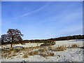Looking up the path in the snow in DH7 0RD