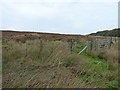 Fenceline and gate on Sandy Nap in SY7 9HX