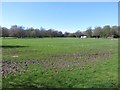 Sports fields, Birkenhead Park, Birkenhead in CH43 8SF