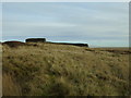 Sheepfold at Yarnbury in Grassington
