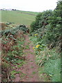 Public footpath down into Pennan in AB43 6HY