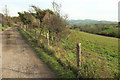 Bridleway near Bennetts Hill Farm in DT6 4NH