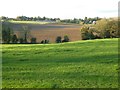 Farmland south of Boycott Farm in MK18 5DJ