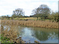 River Avon north of Salisbury in SP2 7NB