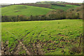 Countryside south of Shipton Gorge in DT6 4ND
