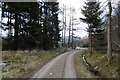 Logging road, Goauch Wood in AB31 4AS
