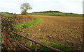 Farmland by Markets Lane in DT6 4NA