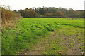 Field by Bredy Lane in DT6 4NA