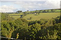 Looking over Dennicksball Wood in PL14 6LE
