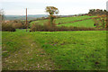 Fields near Higher Sturthill Farm in DT6 4PJ
