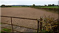Cultivated field north of the Lugg in HR6 9PU
